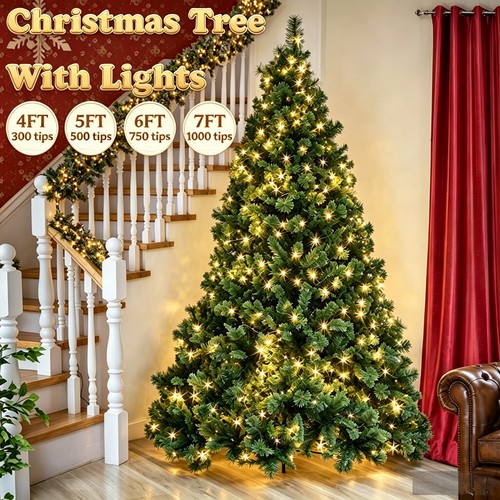 Christmas tree colorado pine - christmas,