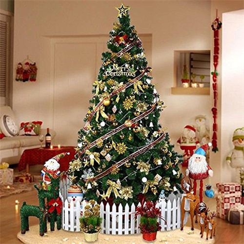 Christmas tree colorado spruce - tree,