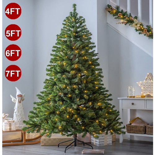 Christmas tree colorado pine - colorado,